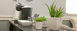 keurig coffee station in dental office with decorative succulents